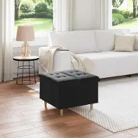 Prolenta Maison Exclusive - Ottomaan met opbergruimte, zwart, 60 x 60 x 45 cm, fluweel