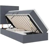 vidaXL Opslag bed met matras Donkergrijs 90 x 190 cm Fluweel
