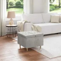 Prolenta Maison Exclusive - Ottomaan met opbergruimte, lichtgrijs, 60 x 60 x 45 cm, fluweel
