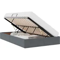 vidaXL Ottoman Bedframe met opslag Donkergrijs 120 x 200 cm Fluweel
