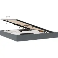 vidaXL Ottoman Bedframe met opslag Donkergrijs 200 x 200 cm Fluweel