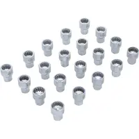 Bgs Velgenslot gereedschapset voor Porsche en VW Touareg 20 delig