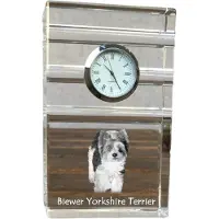Art-Dog Klok – Biewer Yorkshire Terrier