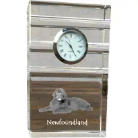 Art-Dog Klok – Newfoundlander