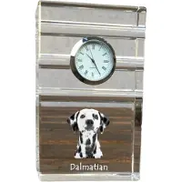 Art-Dog Klok – Dalmatiër