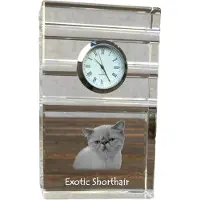 Art-Dog Klok – Exotische korthaar