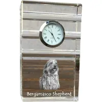 Art-Dog Klok – Bergamasco
