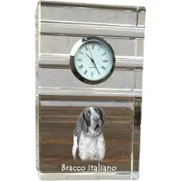 Art-Dog Klok – Bracco italiano
