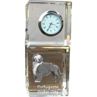 Art-Dog Klok – Portugese waterhond