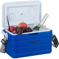 Relaxdays koelbox - 10 l - 22,5 x 37,5 x 23 cm - onderweg - schouderband en handvat - niet elektrisch