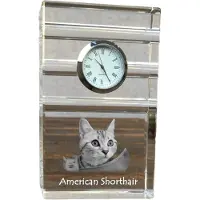 Art-Dog Klok – Amerikaanse korthaar