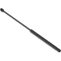 STABILUS 361119 Gasveer achterklep
