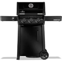 Napoleon Freestyle 365 Zwart