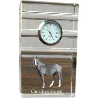 Art-Dog Klok – Canadees paard