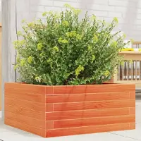 Prolenta Maison Exclusive - Plantenbak, warmbruin, 50x50x23 cm, massief hout, grenen