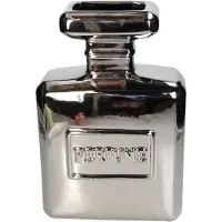 Kersten - Vaas parfum fles - Zilverkleurige bloemenvaas - Luxe vazen - Hotel chique - Vaas voor droogbloemen - 20x9x30cm