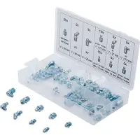 Bgs Smeernippelassortiment metrisch/inchmaten 70-delig - 8065-1