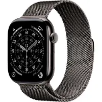 Apple Watch S11 Cellular - 46mm - Slate Titanium - Slate Milanese Loop - M/L
