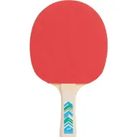 PRO TOUCH - pro 3000 - Tafeltennis bat - Zwart