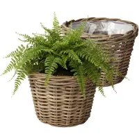 Van der leeden VD Leeden Plantenmand Klassiek - 2x - rond - bruin - 35 x 25 cm - rotan - gevlochten riet - bloempot