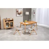 OKWISH Vouwstoel Set Van 2 - Extra Brede Zitting Met Gewatteerde Zitting En Rugleuning - Opvouwbaar Voor Keuken Kantoor Feest - Hout - Grijs