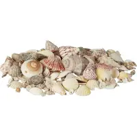 Relaxdays decoratie schelpen - met grote slakkenhuizen - 1 kg - knutselen - badkamer