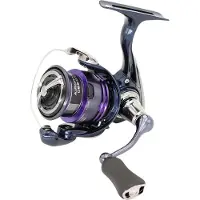 Daiwa Prorex X 24 Lt Spinning Reel Zilver 2000