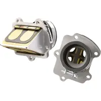 DMS Yamaha Yz 85 02-16 Rad-30c Carbon Reedklep