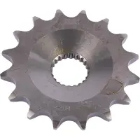 Rk 4204 520 Voortandwiel