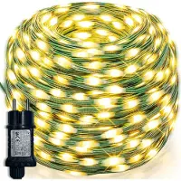 Rosikey 10 meter LED-lichtketting, warmwit, kerstdecoratie, groene draad, werkt op stroom, geschikt voor tuin, feest, doe-het-zelf projecten, binnen gebruik, kerstboom (PVC, 8 modi, geheugenfunctie, 24V DC)