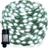 Rosikey 10 meter LED-lichtketting, wit, kerstdecoratie, groene draad, werkt op stroom, geschikt voor tuin, feest, doe-het-zelf projecten, binnen gebruik, kerstboom (PVC, 8 modi, geheugenfunctie, 24V DC)