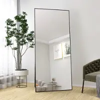 CDGlobal Volledige spiegel met zwarte metalen frame, 180x80 cm, grote wandspiegel met haken, geschikt voor woonkamer of kleedkamer, zwart