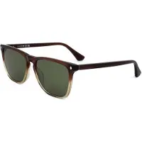 WEB EYEWEAR WE0363 Dark brown 55/16/145 MAN Zonnebrillen