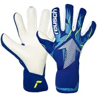 Reusch Fastgrip Advance Goalkeeper Gloves Blauw 10.5