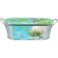 Buzzy Kruidenzaad In Teil Aromatisch 11 X 33 X 10 Cm