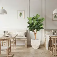 Maxifleur Kunstplanten Lyrata Deluxe Y Kunstboom 130cm in pot