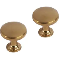 Differnz meubelknop rond bol 30 mm goud 2 stuks