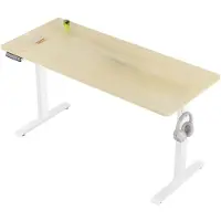 Happyment Elektrisch Sta-Bureau - Voor Thuis of Kantoor - In Hoogte Verstelbaar Ergonomisch Computerbureau met USB-Oplaadpoort en Geheugenfunctie - Color: 140x60cm Oak
