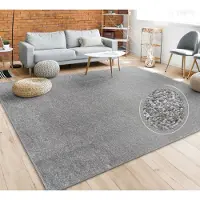Paco Home Vloerkleed Woonkamer Effen Eenvoudig En Modern Laagpolig, Versch. Afmetingen Kleuren 140x200 cm