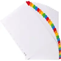 Exacompta 10x Tabbladen karton 160g - geplastificeerde, gekleurde tabs - 31 tabs - 1 tot 31 - A4 - Wit - 1131E
