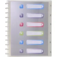 Exacompta 4x Crystal Showalbum met ringen en uitneembare tassen- 30 tassen - 60 zichten - A4 - Transparant - 86320E