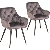 Happyment Eetkamerstoelen Fluweel - Grijs - Woonkamerstoelen - Fauteuil - Keukenstoelen - Kuipstoel - Set van 2
