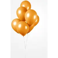 Partyxplosion 25 Ballonnen Oranje, 30 cm ,100% biologisch afbreekbare Ballonnen, EK, Helium geschikt, Verjaardag, Feest, Koningsdag, Voetbal