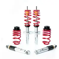 H&R 45563-1S Schokdemper met veer