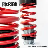 H&R 23019-2 Verenset