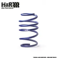 H&R 29334HA3 Chassisveer