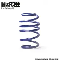 H&R 28564VA1 Chassisveer