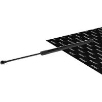 RIDEX 219G1528 Gasveer achterklep