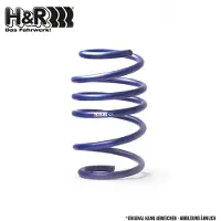 H&R 29547HA1-125 Chassisveer