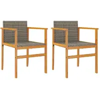vidaXL Tuinstoelen 2 st poly rattan en massief hout grijs